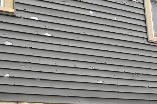 Best Recycling Services for Junk  in Scotia, NY